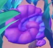 Recorte do trailer: Concha em formato de caracol