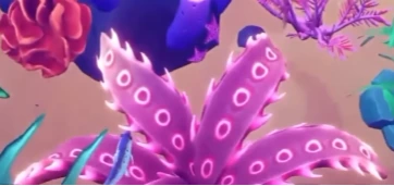 Recorte do trailer: Coral de Samambaia Pequeno