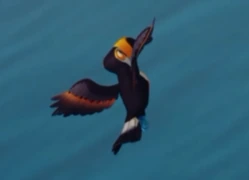 Recorte do trailer: Tucano