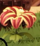 Recorte do trailer: Planta flor
