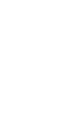 Mickey Shadow Motif