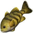 Robalo