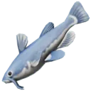Bagre