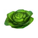 Alface