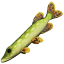 Lúcio