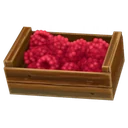 Framboesa