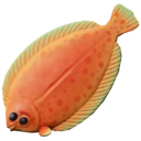 Linguado