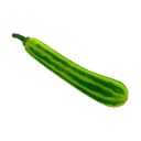 Abobrinha